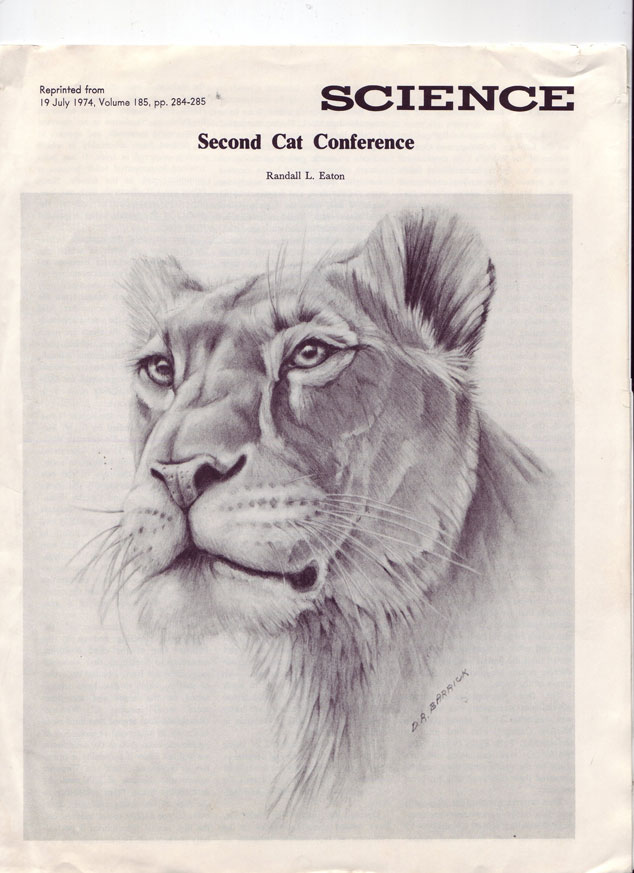 Second car conference